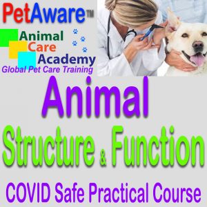 Animal Structure & Function