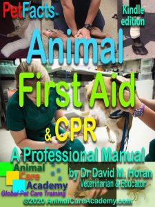 Dog First Aid Course Sydney