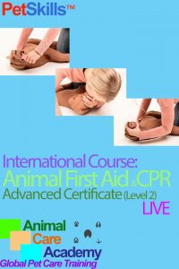 PetSkills™ Animal First Aid & CPR Advanced Certificate (Level 2) – International LIVE Mode