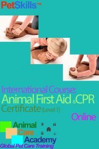 PetSkills™ Animal First Aid & CPR Certificate (Level 1) - ONLINE