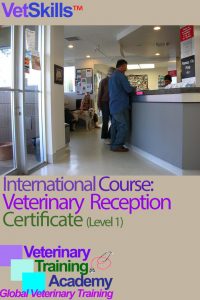 Veterinary Reception Certificate (Level 1) International Course