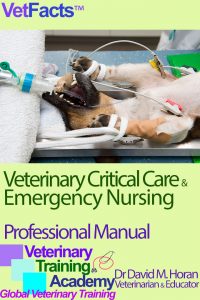 Veterinary Critical Care Emergency Nursing: Professional Manual ©2022